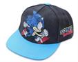 Sonic the Hedgehog Adjustable Distressed Baseball Hat | One Size
