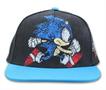 Sonic the Hedgehog Adjustable Distressed Baseball Hat | One Size