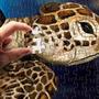 Johannes Stotter Sea Turtle Body Art 1000 Piece Jigsaw Puzzle
