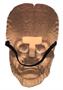 Mars Attacks Martian Soldier Costume Vacuum Mask Adult