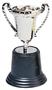 SILVER TROPHIES (include 12 units)