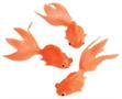 Goldfish (Include 12 Units)