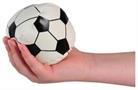 Soccer Balls (Include 12 Units)