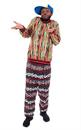 Californian Fresh Prince Adult Costume