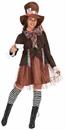 Alice in Wonderland Lady Hatter Adult Costume