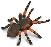CollectA Insect Collection Miniature Figure | Mexican Redknee Tarantula