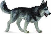 CollectA Cats & Dogs Collection Miniature Figure | Siberian Husky