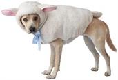 Sheep Dog Costume