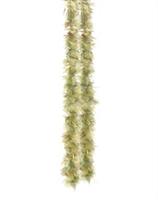 Seaweed Boa 72" Costume Accessory