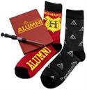 Harry Potter Journal and Sock Bundle
