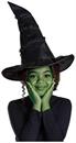 Wicked Elphaba Adult Costume Hat | One Size Fits Most