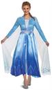 Disney Frozen 2 Elsa Deluxe Adult Costume