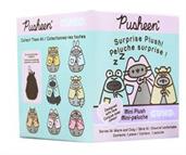 Pusheen Series 14 Warm & Cozy Mystery Plush | One Random