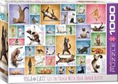 Yoga Cats 1000 Piece Jigsaw Puzzle
