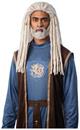 Lord of the Sea Adult Platinum Costume Wig