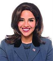 Veep Brown Adult Costume Wig