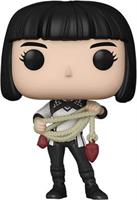 Marvel Shang-Chi Funko POP Vinyl Figure | Xailang