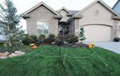 Mega Spider Web Outdoor Halloween Decoration