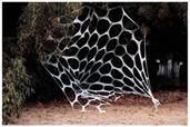 Spider Web 20 Foot Halloween Decor
