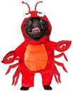 Lobster Pet Costume