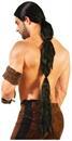Medieval Fantasy Men's Warrior Black Costume Wig
