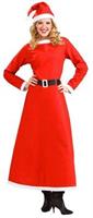 Simply Mrs. Santa Christmas Costume Dress Adult