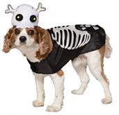 Skeleton Pet Costume