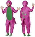 Barney Adult Costume