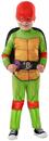 TMNT Rapheal Movie Toddler Costume