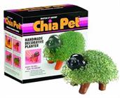 Chia Pet Grass Planter: Puppy