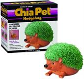 Hedgehog Chia Pet Decorative Planter