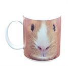 Guniea Pig Face 11oz Coffe Mug