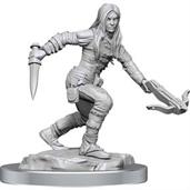 D&D Nolzurs Marvelous Unpainted Miniatures | Half-Elf Rogue Female