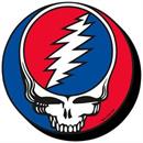 Grateful Dead Steal Your Face Funky Chunky Magnet