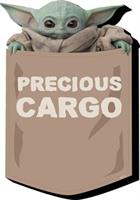 Star Wars The Mandalorian The Child Precious Cargo Funky Chunky Magnet