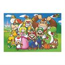 Super Mario 250 Piece Jigsaw Puzzle