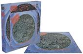 Morbid Angel Altars Of Madness 500 Piece Jigsaw Puzzle