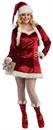 Sexy Santa Helper Christmas Dress Adult Plus Costume