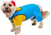 Hello Kitty Pet Costume