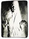 Star Wars Han Solo Carbonite 46"x60" Fleece Throw