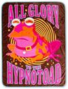 Futurama Hypnotoad Fleece Throw Blanket | 45 x 60 Inches
