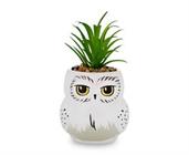 Harry Potter Hedwig 3-Inch Ceramic Mini Planter with Artificial Succulent
