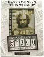 Harry Potter Have You Seen This Wizard 4x6 Inch Photo Frame