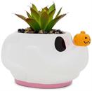 Disney The Nightmare Before Christmas Zero Planter With Artificial Succulent