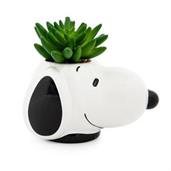 Peanuts Snoopy Face Ceramic Mini Planter with Artificial Succulent