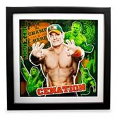 WWE John Cena 15 x 15.5 Inch Shadow Box Wall Art