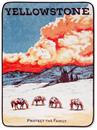 Yellowstone "Protect The Family" Raschel Throw Blanket | 45 x 60 Inches