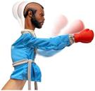 Rocky Reachers Clubber Lang 13-Inch Boxing Puppet Toy | Toynk Exclusive