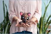Tentacle Kitty Little Ones 4 Inch Plush | Animal Tortoise Shell