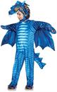 Blue Dragon Printed Children's Costume